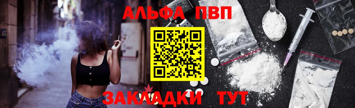 Alfa_PVP СК КРИС Губкин