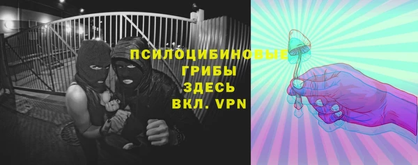 индика Волосово