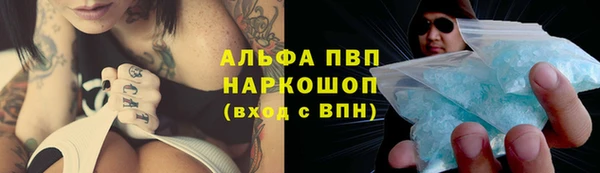 индика Волосово