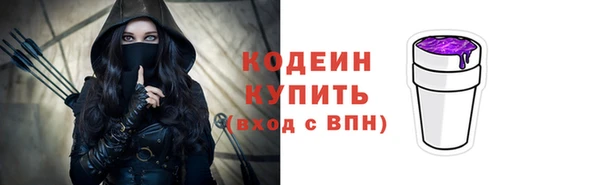 индика Волосово