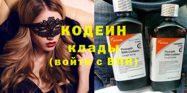 индика Волосово