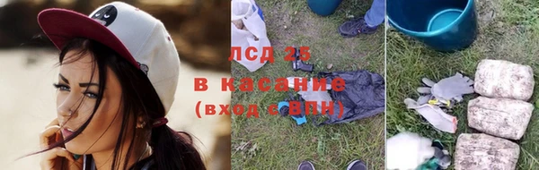 индика Волосово