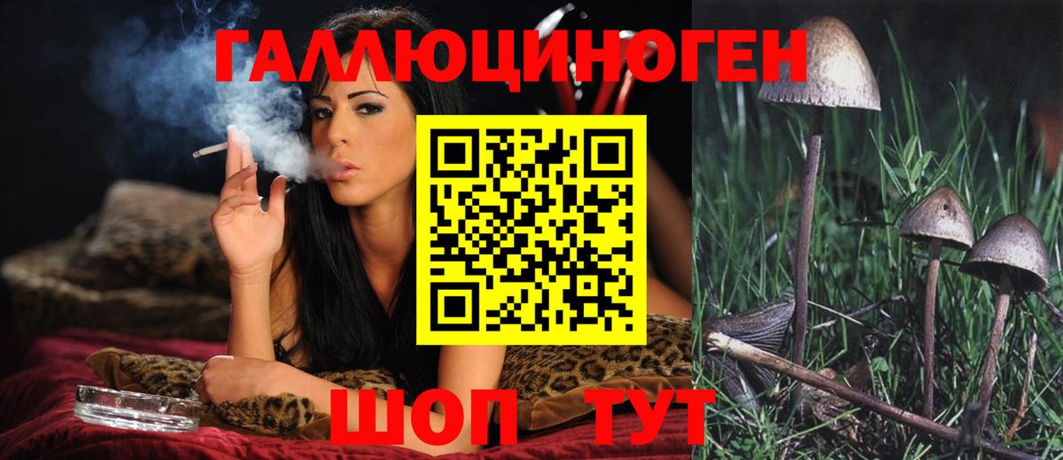 Псилоцибиновые грибы Psilocybine cubensis  Псилоцибиновые грибы Magic Shrooms  наркошоп  Губкин 