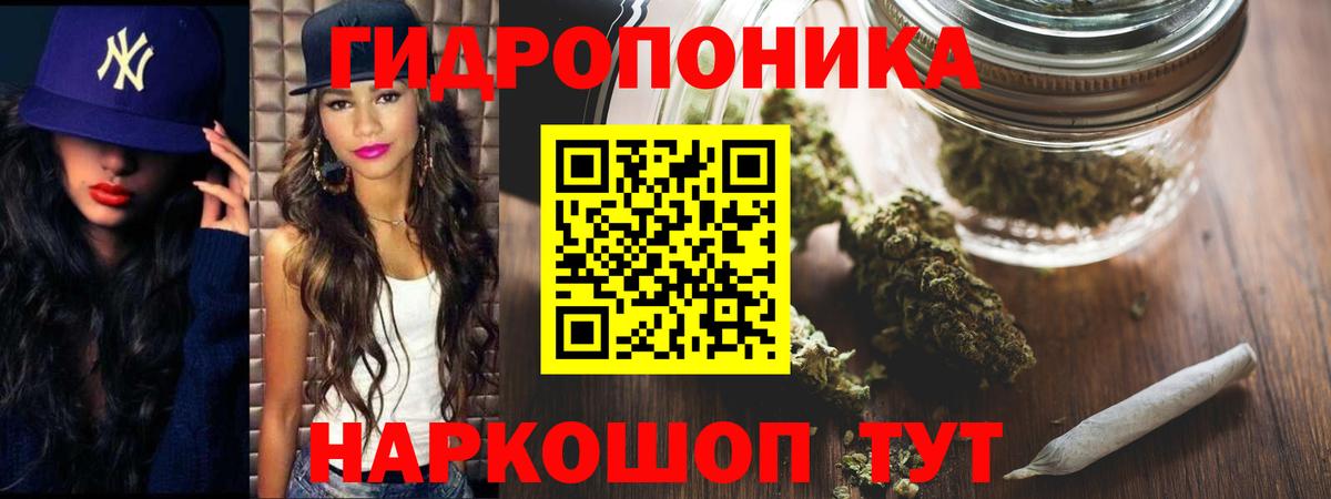 Канабис ГИДРОПОН Губкин